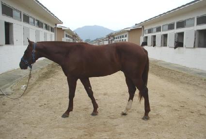 �۽�Ʈ�۷θ� ����