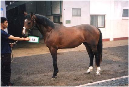 ��ü�� ����