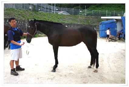 ���� ����