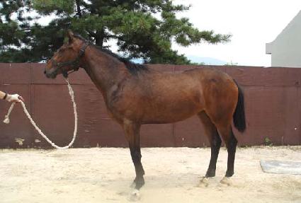 ũ������� ����