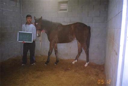 ��Ʈ���� ����