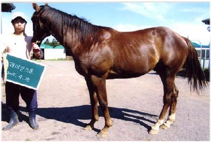 ������ ����