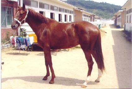 û��޾Ƹ� ����