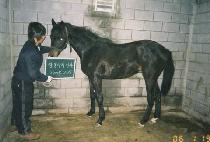 �Ʒ��� (ARES) ����