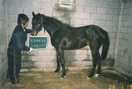 �Ʒ��� ����