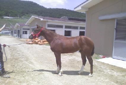 Ư����ȣ ����