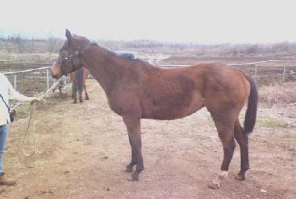 �Ϻ��� ����