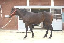 ������� (SUNWI SANGSEUNG) ����