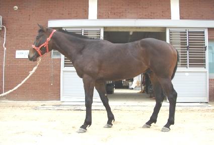 ������� ����