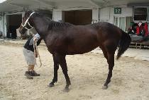 ������ġ (EVER RICH) ����