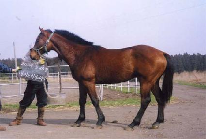 ��Ÿ���� ����