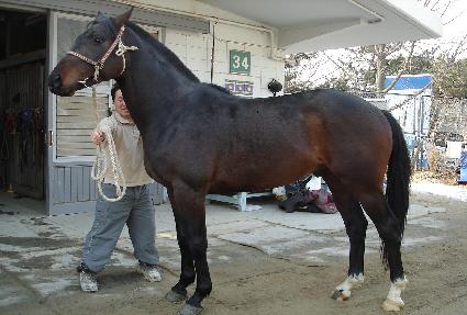 ���̽��� ����