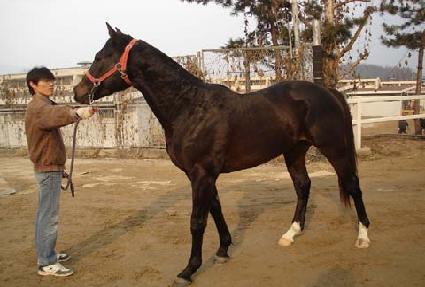 ��������� ����