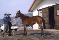 ��õ���� (GYEONGCHEONYEOWANG) ����