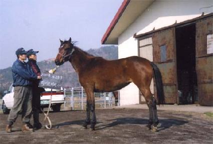 ��õ���� ����