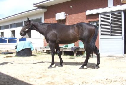 ��ö���� ����