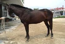 ������� (HUIMANGMORI) ����