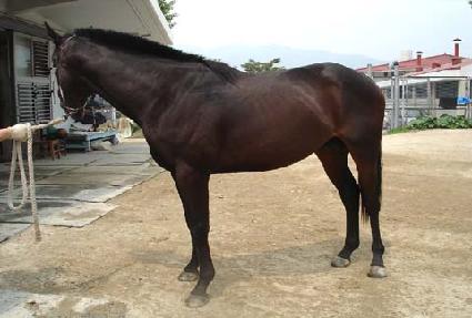 ������� ����