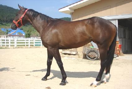 ��������Ʈ ����