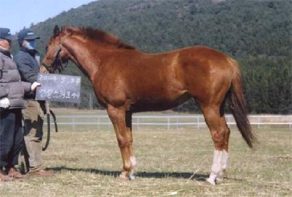 �´����� ����