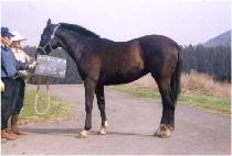 �¿��� (SEUNGUNDAESEUNG) ����