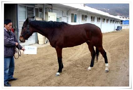 �ʿ����� ����