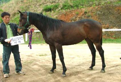 ����Ʈ�귯 ����