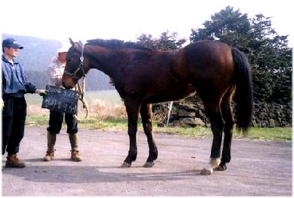 ���ڱ� ����