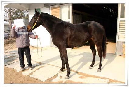 �����ǲ� ����