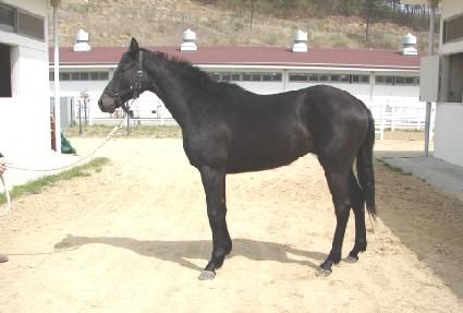 ���濵�� ����