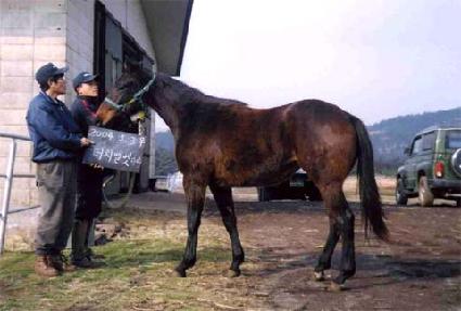 ����� ����