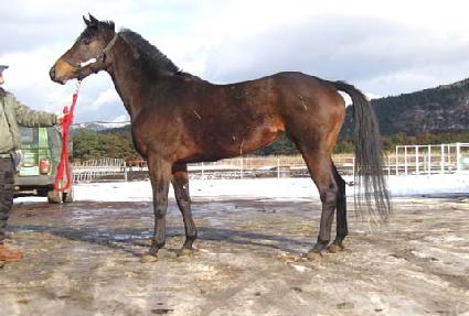 ��ǳ���� ����