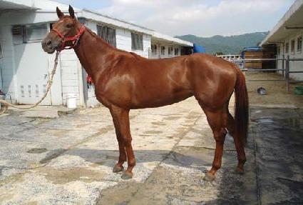 ������ ����