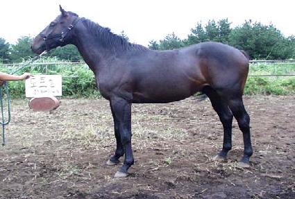 ������� ����