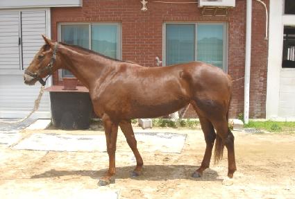 �������� ����