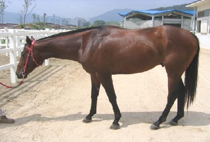 ������ ����