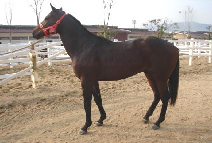 ŷũ���� ����