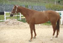 ȭ���ѽ�ȭ (HWARYEOHAN SINHWA) ����