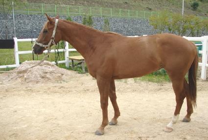 ȭ���ѽ�ȭ ����