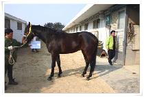 ��絥�� (GOLDEN DAY) ����