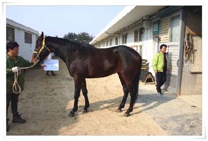 ��絥�� ����