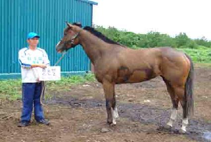 ��级 ����