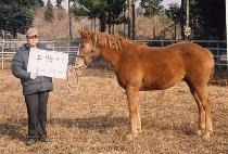 GEUMBIT SINHWA picture