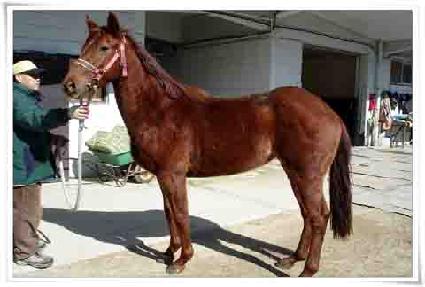 �ɵ��� ����