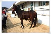 ����ž (SUN STOP) ����