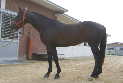 ��������� ����