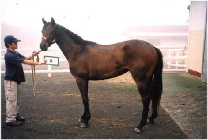 ����Ÿ ����