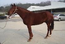 �̽��� (SINGSINGHAE) ����