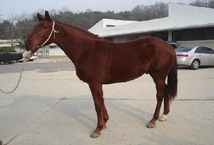 �̽��� ����