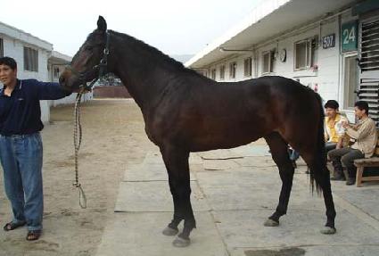 ��Ű�� ����